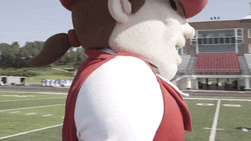 Kentucky Pete GIF by University of the Cumberlands