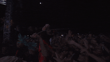 Lana Del Rey Crowd GIF by Coachella