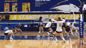 Volleyball Yes GIF by Towson University