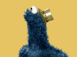 Happy Oh My God GIF by Sesame Street