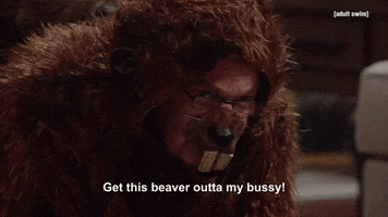 Tim And Eric Beaver GIF by Adult Swim