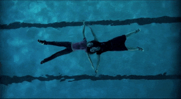 Waterlilies GIF