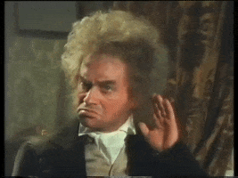 Mozart GIF