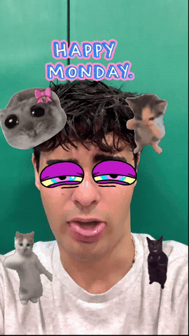 Cat Monday GIF