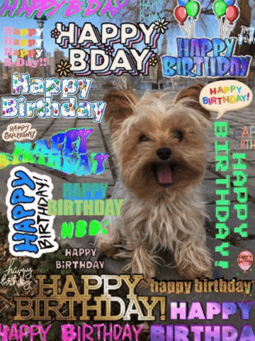 birthday