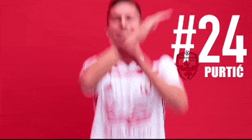 FC Vozdovac GIF