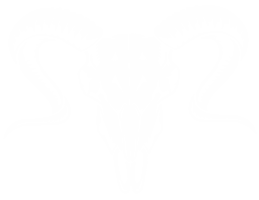 Death Skull Sticker