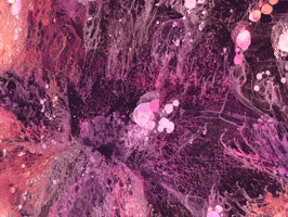 Spiral Inject GIF by The LSD Hotel