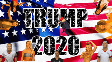 trump 2020 GIF