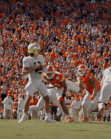 Notre Dame Football GIF by Clemson Tigers