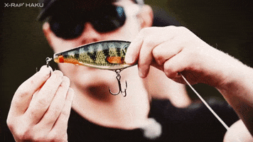 200.gif?cid=fc005b089b855d9ae9956ea79aebe1b31d1db407c655f4b9&rid=200.gif&ct=g