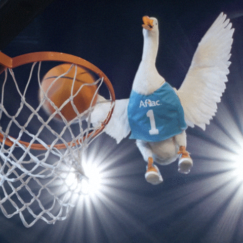 March Madness Basketball GIF by Aflac Duck