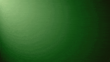 Rabbanitour GIF