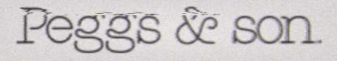 peggsandson GIF