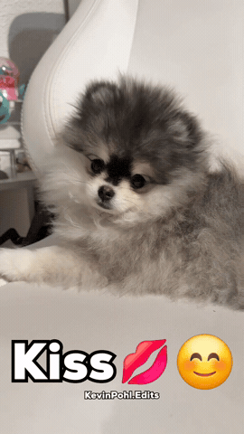 Kiss GIF