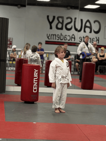 Karate GIF by Mstokie50