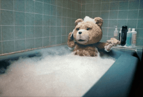 Bear Phone GIF