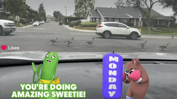 California GIF