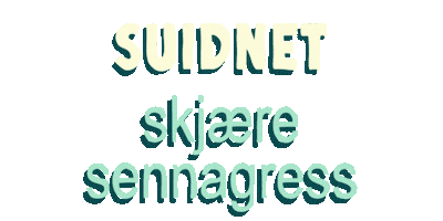 Samisk Gress Sticker