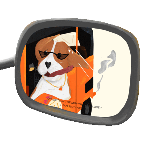 Skateboard Sticker