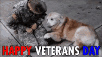  day veterans GIF