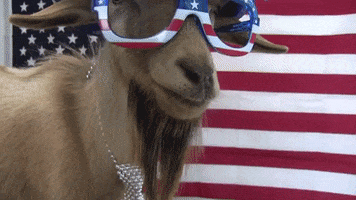 Independence Day Usa GIF by Storyful