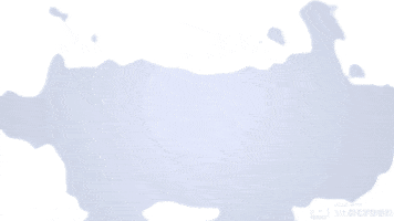 basanez consulting GIF