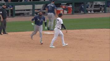Celebrate Tampa Bay Rays GIF by MLB