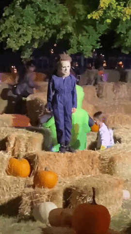 Michael Myers Halloween GIF by Storyful
