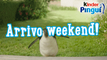 Friday Weekend GIF by Kinder Official