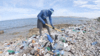 World Oceans Day Gifs Get The Best Gif On Giphy