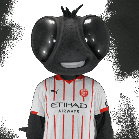 Futbol Club Sticker by Girona FC