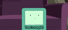 Adventure Time Thats Stupid GIF