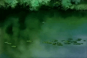 Pond Life GIFs - Find & Share on GIPHY