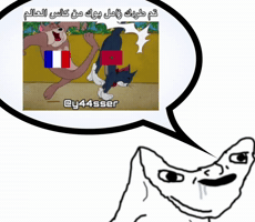 France Morocco GIF