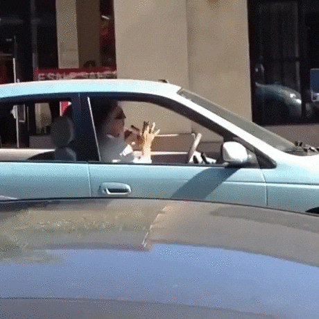 dui GIF