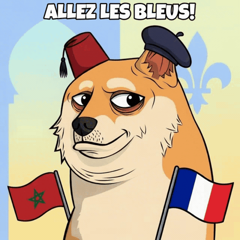 Lets Go Soccer GIF by Doge Pound
