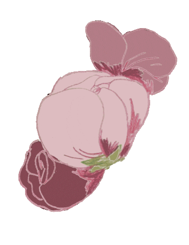 Pink Sticker