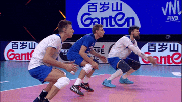 Sport Cant Touch This GIF by Volleyball World