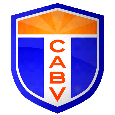 Bvnews Sticker by Bella Vista News