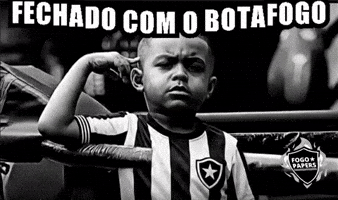 Botafogo De Futebol E Regatas Bfr GIF