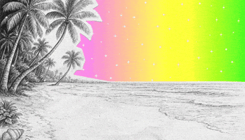Miami GIF by lenay