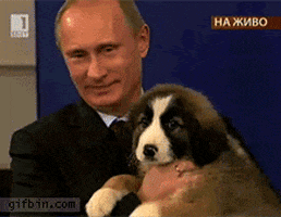 1-1 mandate candellone 200.gif?cid=a0a8deb3uitnpynub15iuvmyzx6i9lfk495xcb5lq6m1show&rid=200