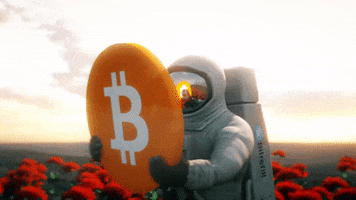 Bitcoin Moon GIF by Bitrefill