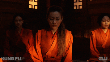 Happy Tv Series GIF by CW Kung Fu