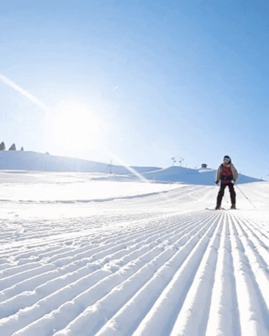 Chatel_officiel lets go ski mountain chatel GIF