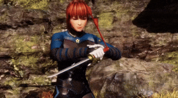 Dead Or Alive Fight GIF