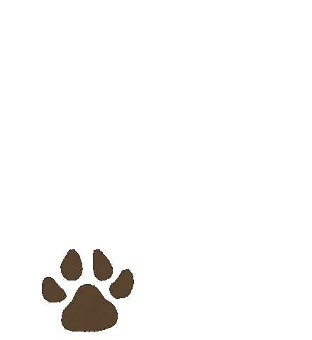Dog Paws Sticker