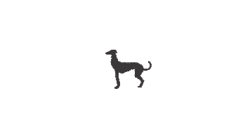 Logo Design Greyhound Sticker by Biggar Gin