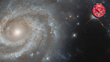 Star Nasa GIF by ESA/Hubble Space Telescope